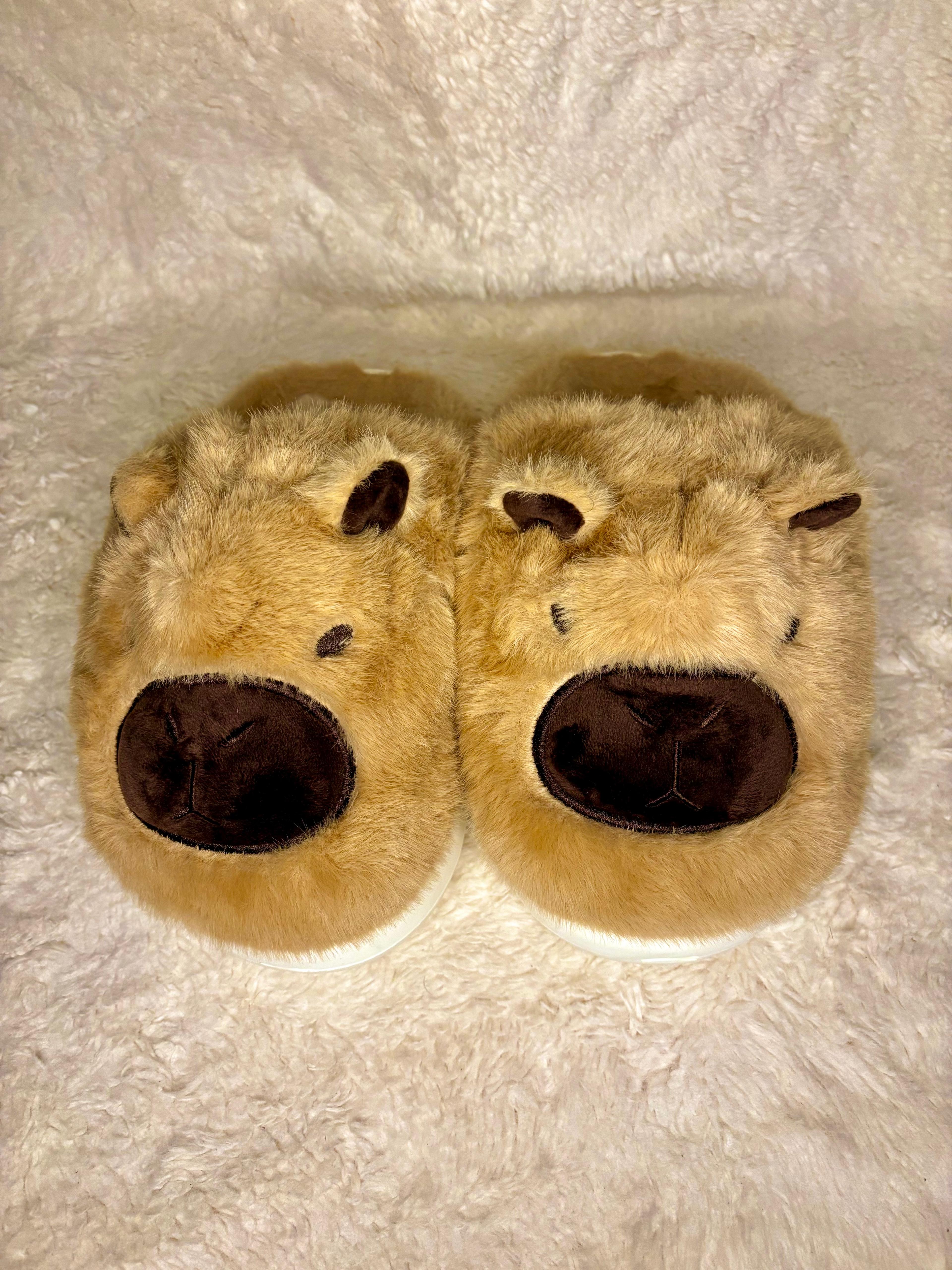 Little Capy - L'Original